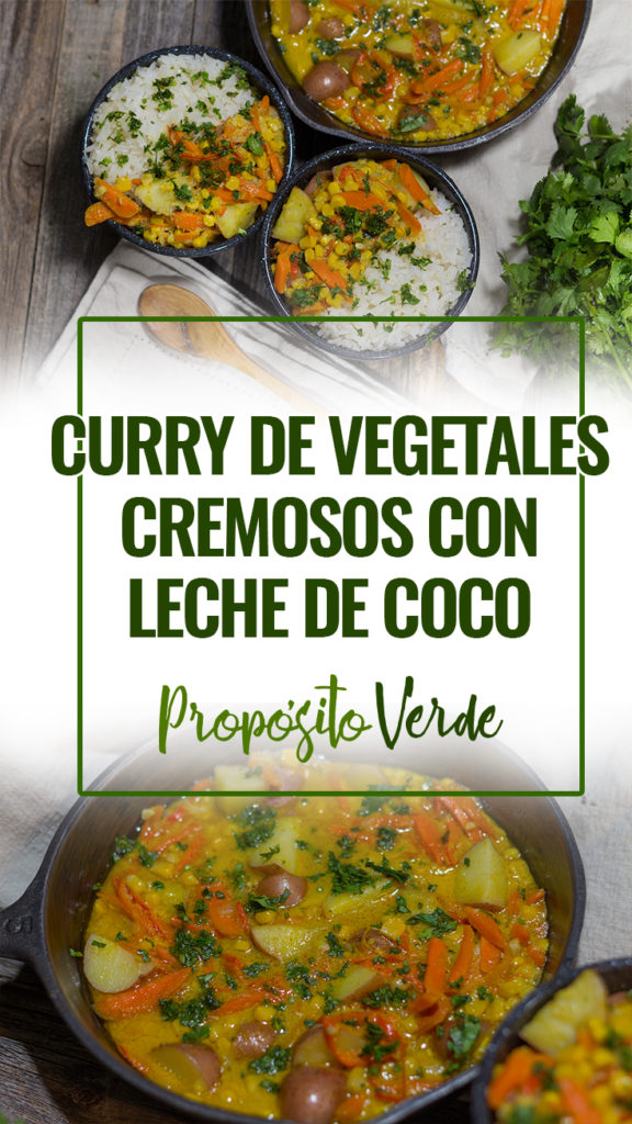 Curry de Vegetales Cremosos con Leche de Coco