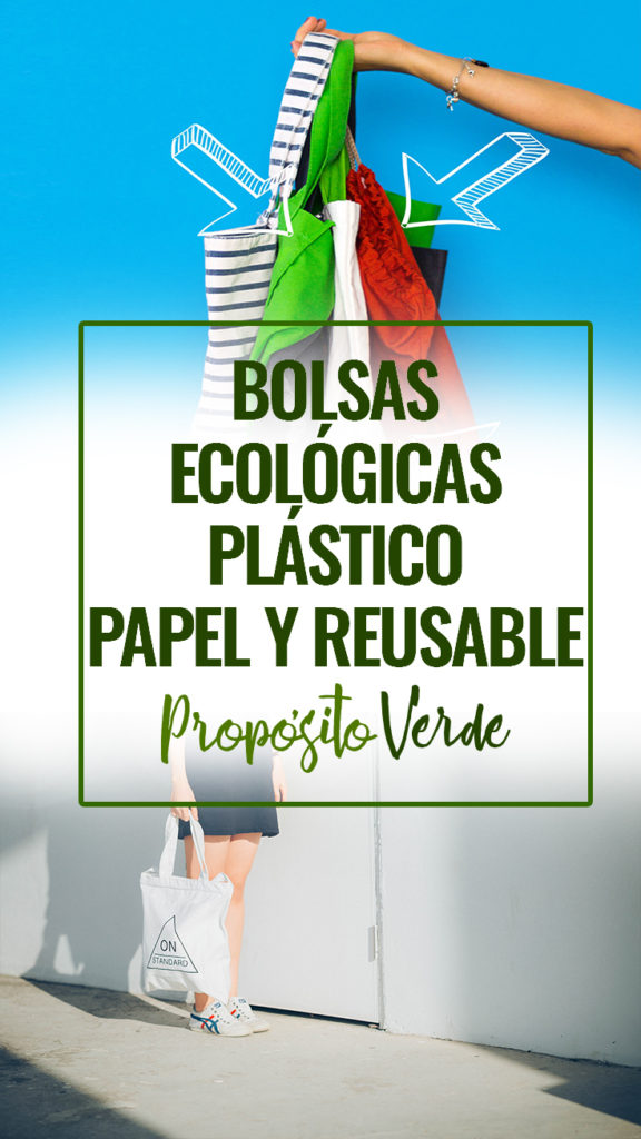 Bolsas ecologicas Plástico, Papel y Reusable