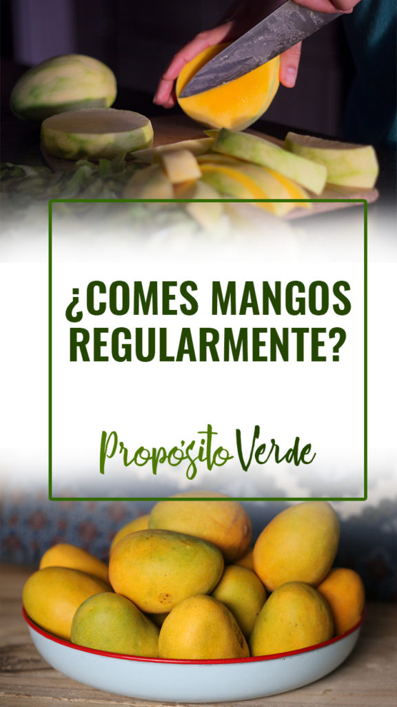 El mango no solo es fascinante debido a su longevidad y popularidad como fruta, sino que también tiene algunos parientes inusuales. ¿Sabía que los mangos son de la misma familia que los pistachos y los anacardos? Es verdad.